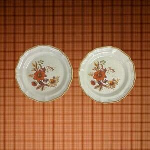 Mikasa VTG Garden Club Harvest Bouquet EC 455 Set 2 Stoneware Floral 8" Plates